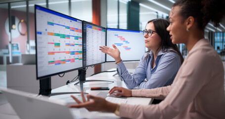 Naklejka premium Woman Using Agile Project Management Software