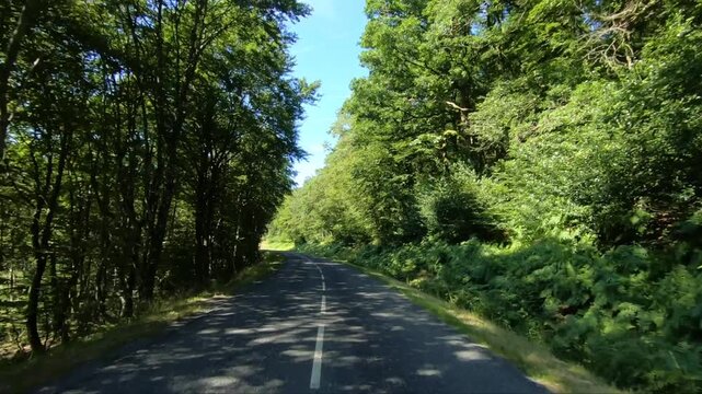 Peaceful country road winding through lush green forest in the Morvan region of France on a sunny summer day. Tranquil natural landscape ideal for travel and adventure concepts.