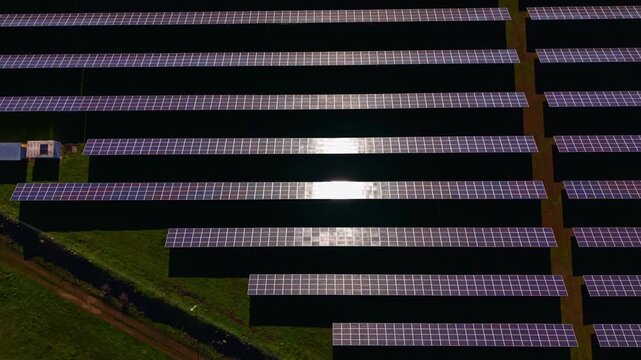 Rows of solar panels cover the ground in a solar farm. Sunlight shines on the panels while green grass grows between the rows. The area is wide and open, featuring many panels.