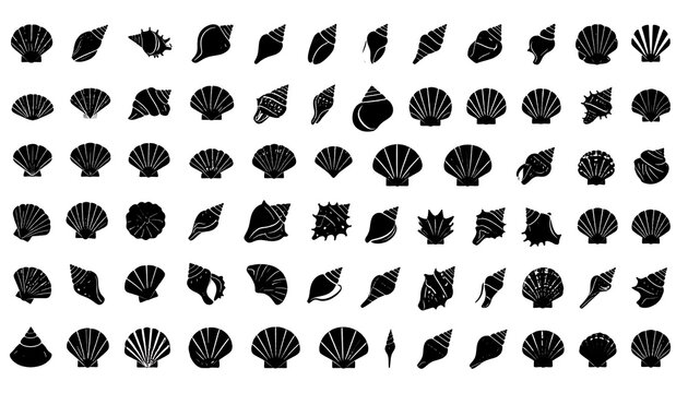Black silhouette collection of diverse seashell shapes on a white background