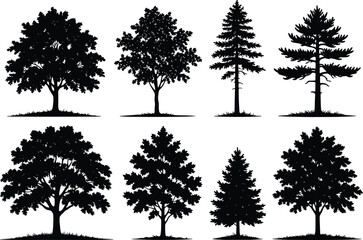 Fototapeta premium Tree silhouette illustration set, botanical artwork, landscape vector design, nature graphic icon, black white forest symbol