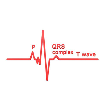 Detailed illustration of an electrocardiogram showing the p wave, qrs complex, and t wave