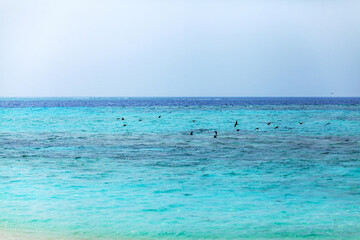 Turquoise waters stretch to horizon