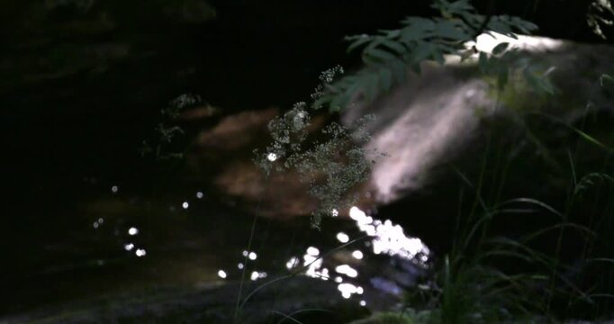 Alpine river in Garanas in spring in the mountains of Styria.