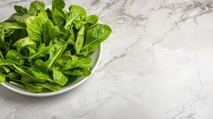 Obraz premium A white bowl filled with fresh green arugula leaves sits on a marble countertop.