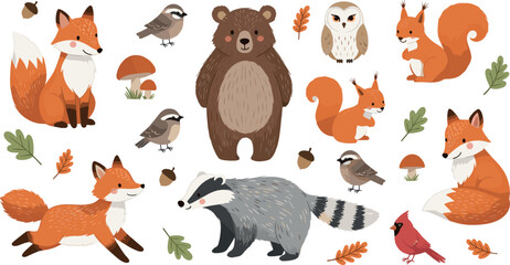Obraz premium Autumn Woodland Animals Collection with Fox, Bear, Squirrel, Badger and Forest Birds Vector Illustration Set