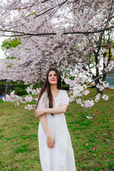 Young woman standing under blooming cherry blossom sakura tree in spring park. Romantic seasonal portrait with soft pink flowers and natural spring atmosphere.