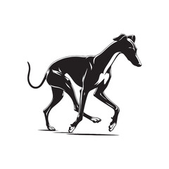 Obraz premium Elegant Italian Greyhound Silhouette – Sleek and Graceful Toy Sighthound Illustration.
