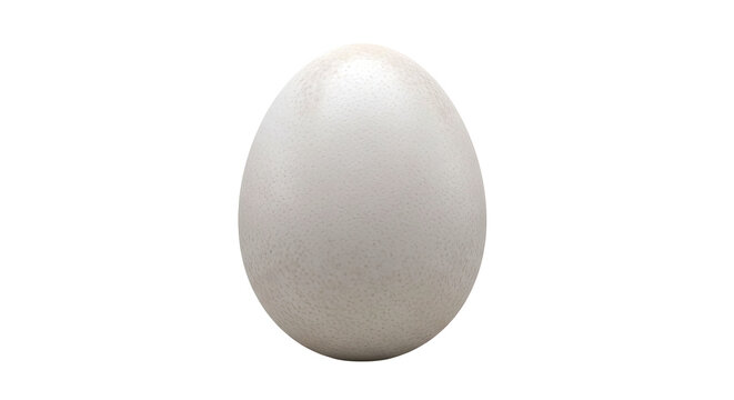Ostrich Egg