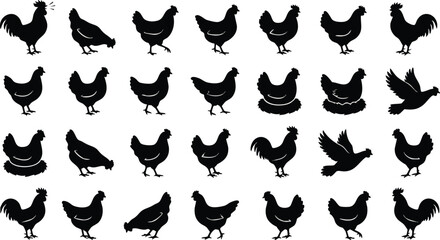 Collection of Various Chicken Silhouettes. © Ramz Studio
