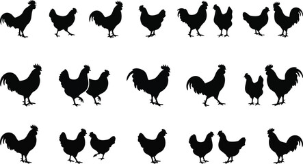 Silhouette of Roosters and Hens Standing. © Ramz Studio