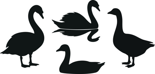 Four Black Silhouette Geese Standing Together. © Ramz Studio