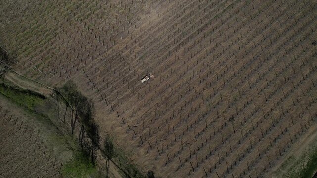 Small crawler tractor operating between vineyard rows on hillside agricultural terrain in northern Italy performing soil management operations, aerial view.