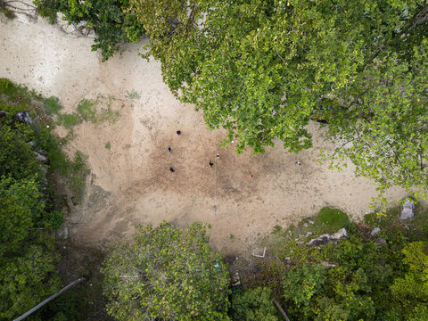Aerial view of Tanjung Gelam Beach where the sandy expanse meets the vibrant green canopy, Karimunjawa, Central Java, Indonesia.