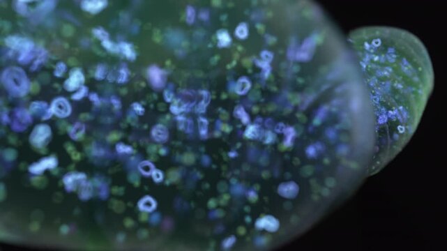 Mitochondria, animation
