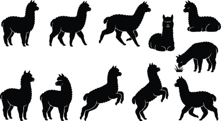 Fototapeta premium Silhouette of Various Llamas in Different Poses.