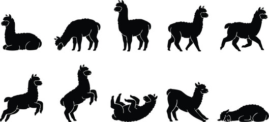 Fototapeta premium Alpaca Silhouettes in Various Poses.