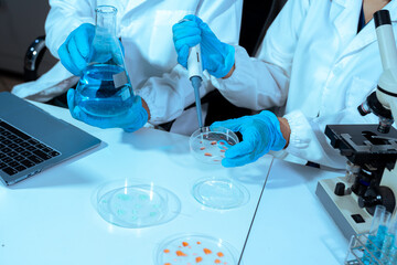Fototapeta premium Scientist mixing chemical liquids in the chemistry lab. Researcher working in the chemical laboratory.