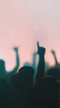 People having fun at the concert in night club