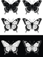 Obraz premium Butterfly silhouette set in black and white, detailed wings illustration collection, decorative insect design isolated on white and dark backgrounds for graphic use