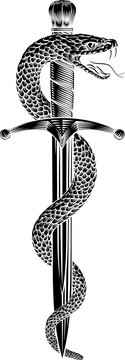 A dagger knife with snake wrapped around it in a vintage woodcut engraved etching tattoo illustration style