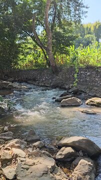 Sunlight Glistening on Scenic River Flowing Through Tropical Forest