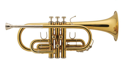 Shiny brass trumpet on white background instrument
