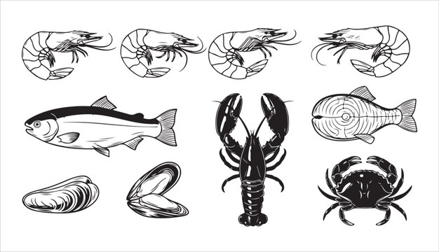 Hand drawn isolated vector set of seafood. Shrimps, prawns, salmon, trout, mussels, lobster and crab. Vintage illustrations on white background for cafe or restaurant menu, kitchen poster or placard