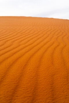 Rippled sand dune pattern in the Sahara Desert at Erg Chebbi Morocco