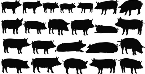 Black pig silhouettes set isolated on white background, farm animal collection of swine in various poses like standing and lying © Mojahid
