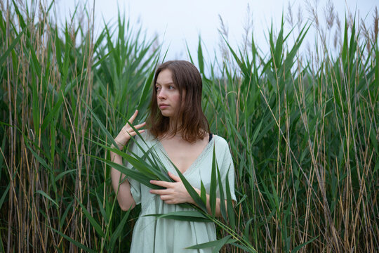 Woman in green dress standing among reeds in foggy summer morning