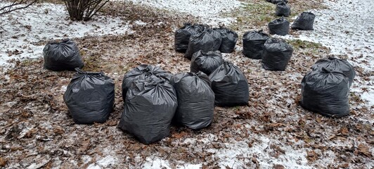 Multiple Black Bags with Fallen Leaves &mdash; Seasonal Yard Work Background for Films, Documentaries, Environmental Projects