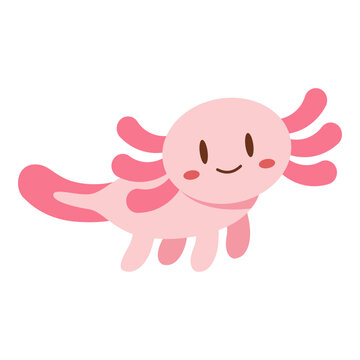 Axolotl illustration is suitable for animal or pets.
