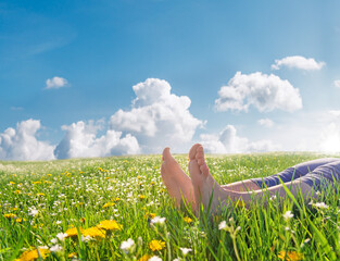 Bare feet relaxing in wildflower meadow under blue summer sky