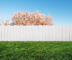 spring bloom tree in backyard and wooden white garden fence
