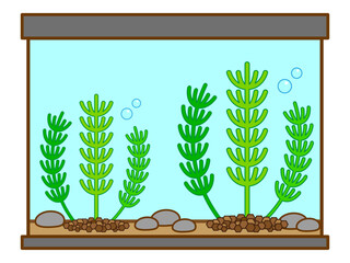 シンプルな水槽と水草のイラスト素材