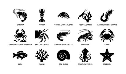 Obraz premium Marine life collection: crustaceans, reef creatures, and sea icons