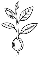 Illustration of a small plant with a bulbous root system, sprouting leaves.