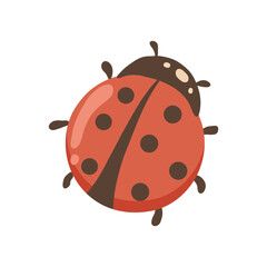 Obraz premium Vector illustration of a ladybug on white background