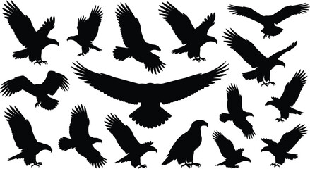 Fototapeta premium Eagle silhouette set, flying bird of prey icons, hawk predator vector, majestic wingspan collection, eagle soaring poses, wild avian character.