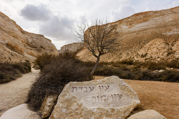 Entrance to the Ein Avdat National Park in Israel's Negev Desert. The inscription on the rock translate to Avdat Spring and Mor Spring. © Yehoshua Halevi