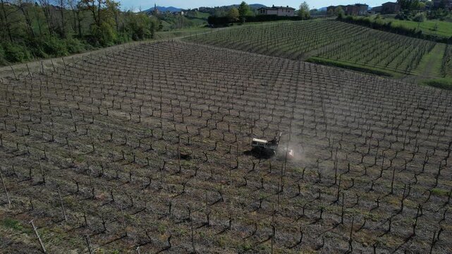 Compact crawler tractor moving through structured vineyard rows performing inter-row soil levelling and weed control within cultivated viticulture terrain in northern Italy agricultural countryside