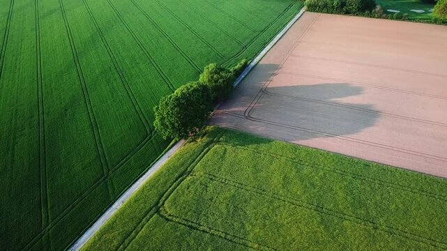 A lush green grass field borders a rural asphalt road, creating a scenic nature landscape with a summer meadow and a quiet countryside path under a bright sky