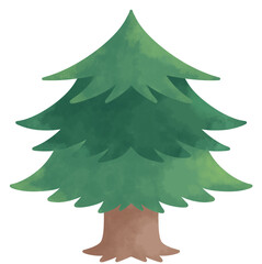 水彩の針葉樹のイラスト