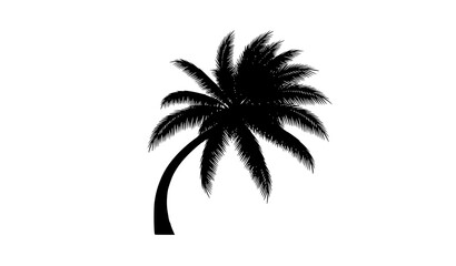 Obraz premium Curved Tropical Palm Tree Black Silhouette Vector Illustration on White Background