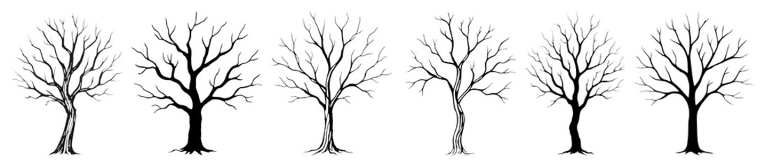 PNG Silhouettes of barren trees on transparent background