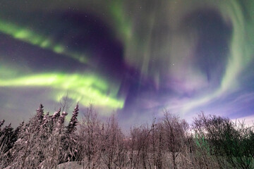 アラスカ　フェアバンクスのオーロラ
