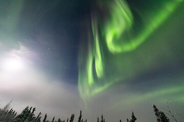 アラスカ　フェアバンクスのオーロラ
