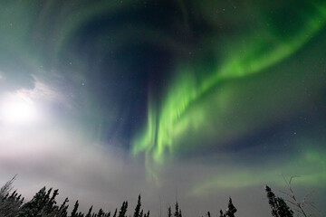 アラスカ　フェアバンクスのオーロラ