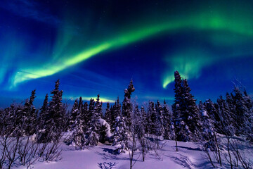 アラスカ　フェアバンクスのオーロラ